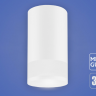 Светильник EKS ART GLASS MR16(GU10) накладной, белый